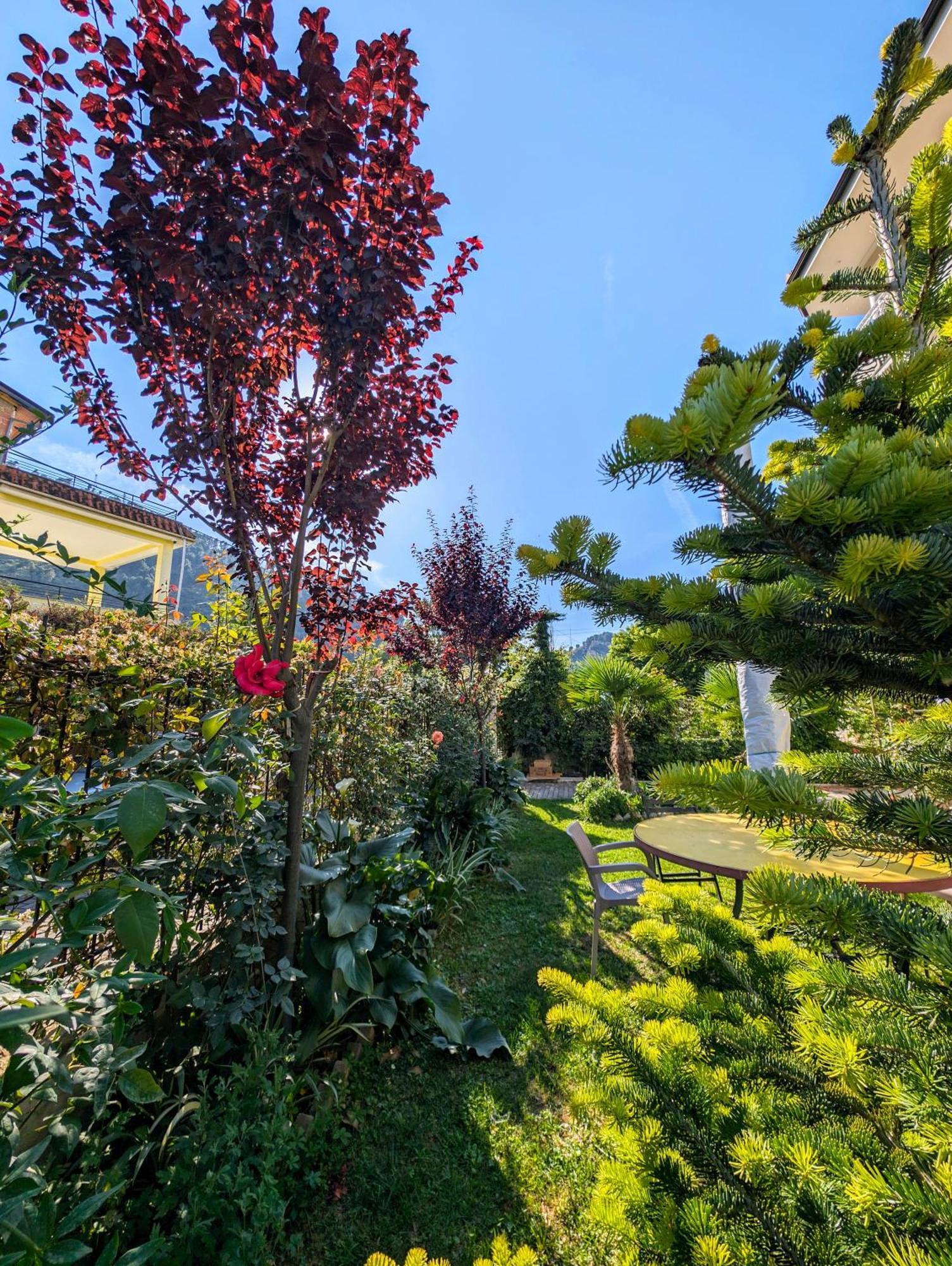 Villa With Garden And Veranda Berat Exteriér fotografie