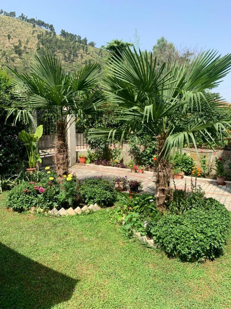 Villa With Garden And Veranda Berat Exteriér fotografie
